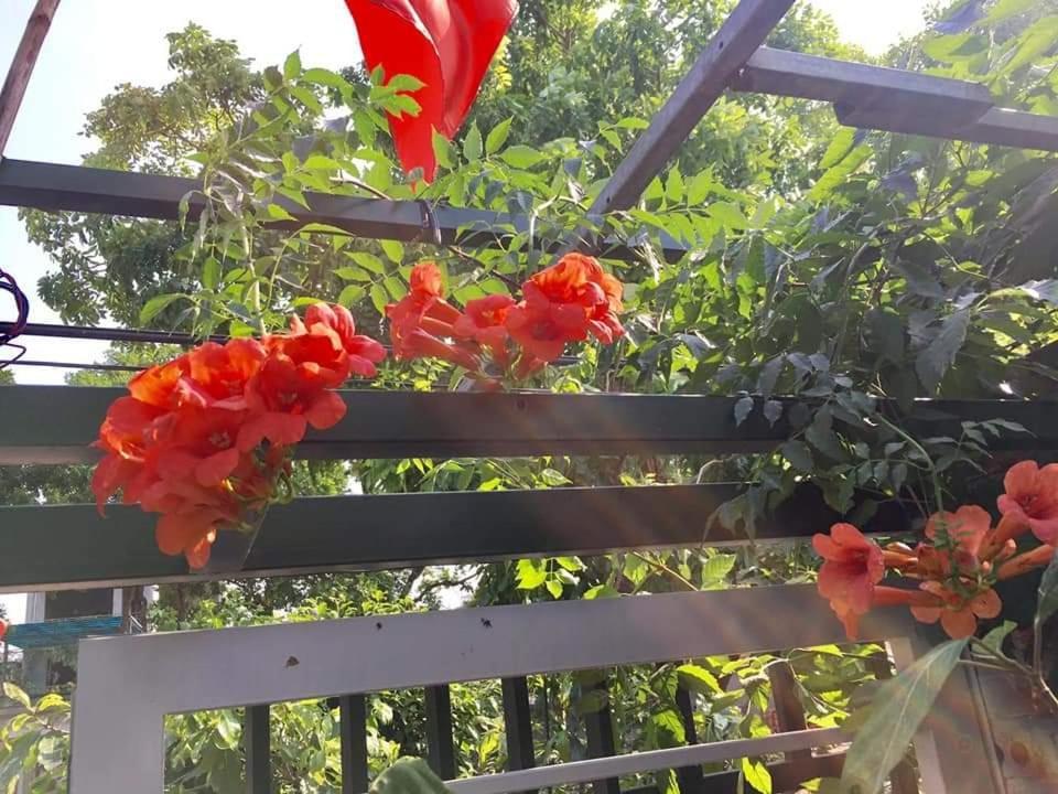 Van LamNha Nghi Bolero公寓 外观 照片