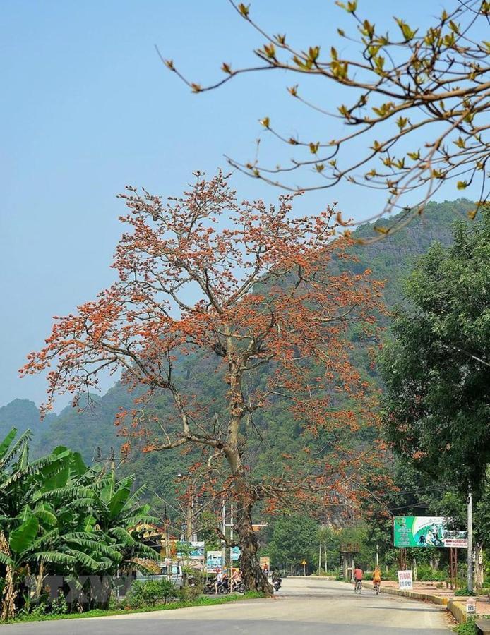 Van LamNha Nghi Bolero公寓 外观 照片