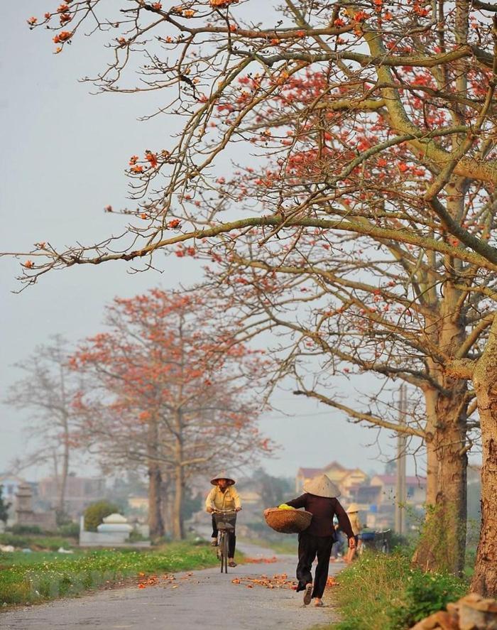 Van LamNha Nghi Bolero公寓 外观 照片